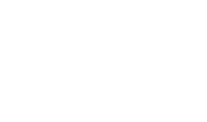 Willem van den Berg Informatie Marketing